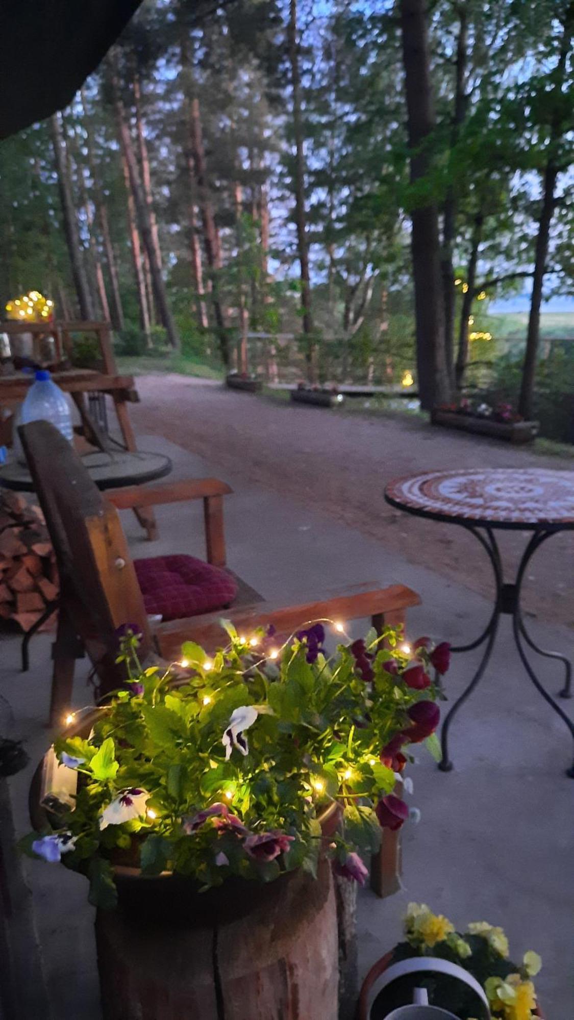 Kempings Ezerpriedes Burtnieki  Bagian luar foto