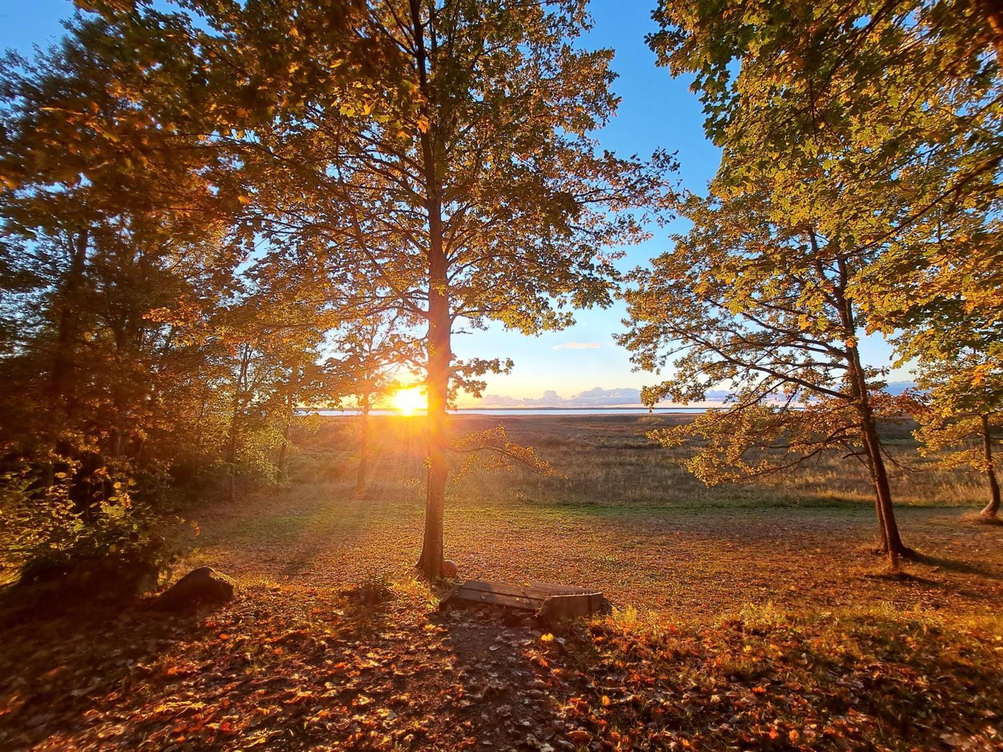 Kempings Ezerpriedes Burtnieki  Bagian luar foto