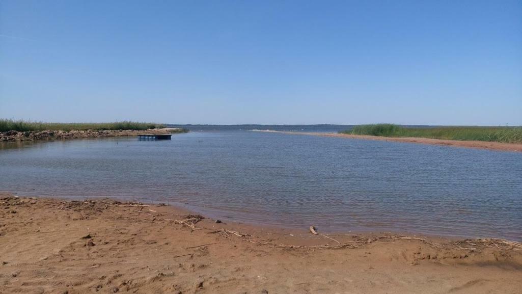 Kempings Ezerpriedes Burtnieki  Bagian luar foto